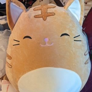 BNWT Nathan the orange Tabby Cat 16in squishmallow